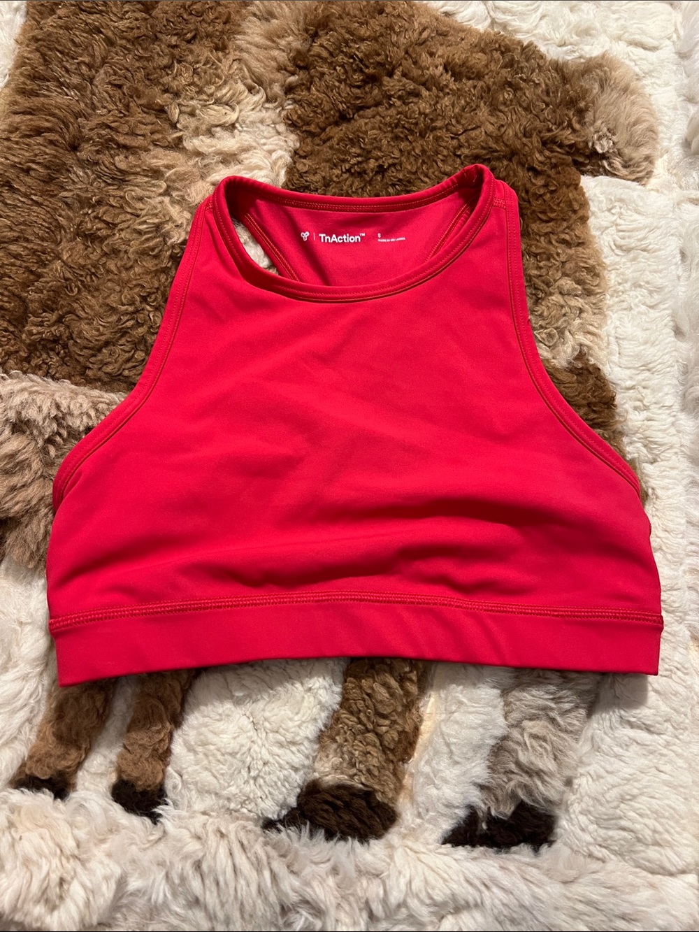 Aritzia Sports Bra